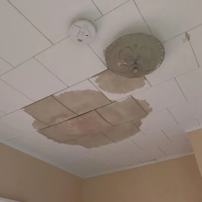 Ceiling Water Damage Repair in Menlo Park, CA