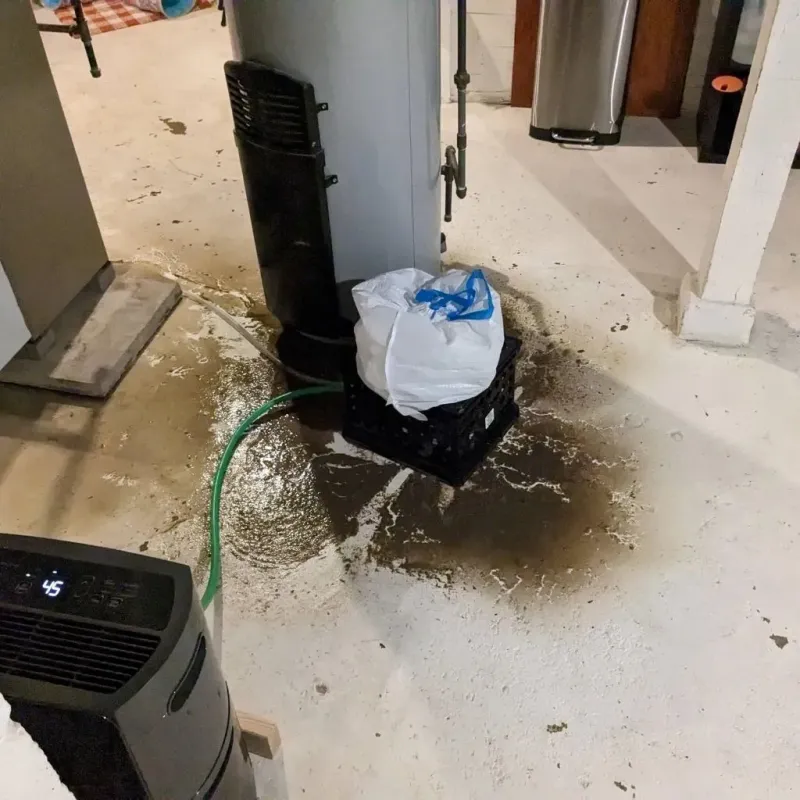 Sewage Backup Cleanup Service in Menlo Park, CA